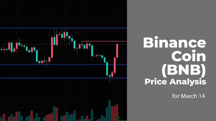 Binance Coin (BNB) Price Analysis for March 14