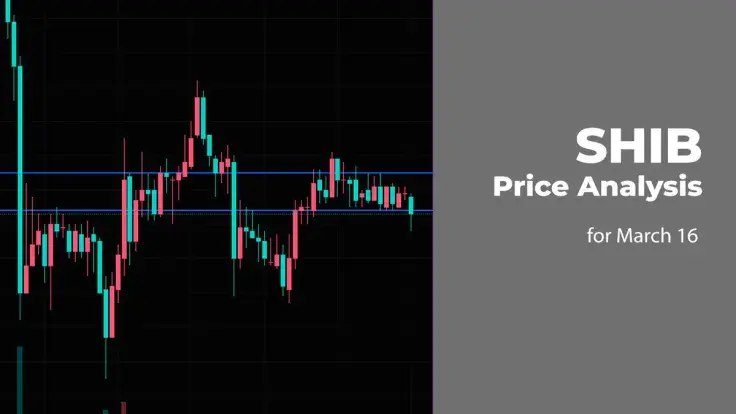 SHIB Price Analysis for March 16