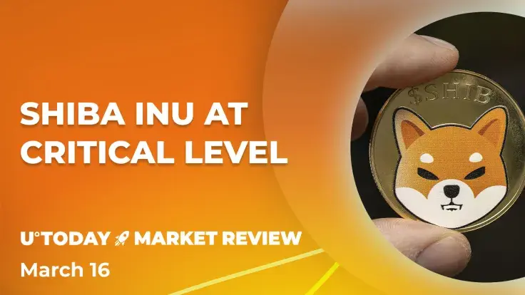 Shiba Inu (SHIB) at Critical Level Following Massive Investor Outflow