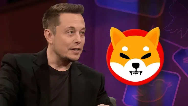 Elon Musk's Meme Tweet Causes This Reaction of Shiba Inu Lead