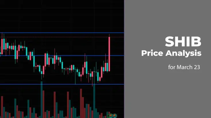 SHIB Price Analysis for March 23