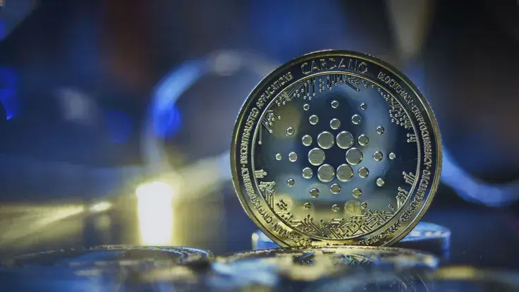 204 Billion ADA Moved by Large Cardano Holders Recently, Here's Why