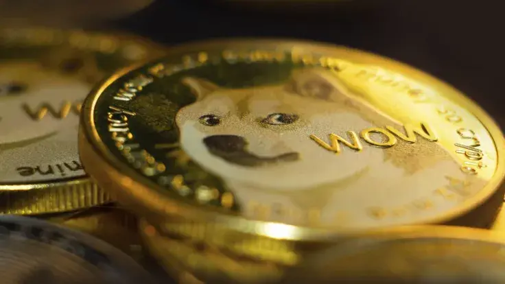 350 Million Dogecoin Purchased as DOGE Price Drops, Offering Chance to Buy Dip
