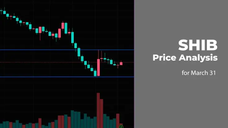 SHIB Price Analysis for March 31