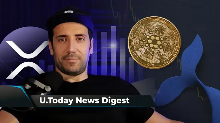 David Gokhshtein Calls XRP Chart 'Pretty Dope,' BabyDoge Hints at Major Listing, ADA Whales Rapidly Drop Their Holdings: Crypto News Digest by U.Today