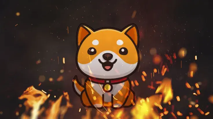 Over Half Quadrillion Baby Doge Coin (BabyDoge) Burned in Massive Burn Moves: Details