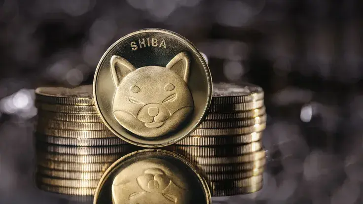 Around $1 Billion Shiba Inu (SHIB) Moved in One Day, But What's Really Behind Those Transactions?