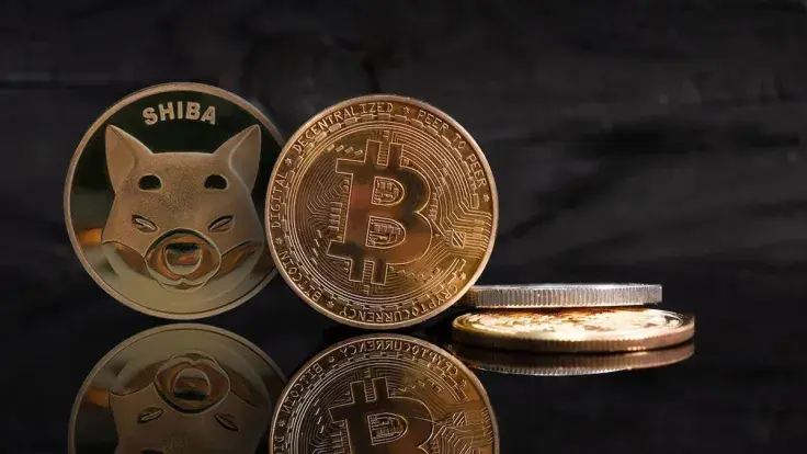 Shiba Inu (SHIB), Bitcoin (BTC) Rank as Most Traded Assets on CoinSwitch: Details