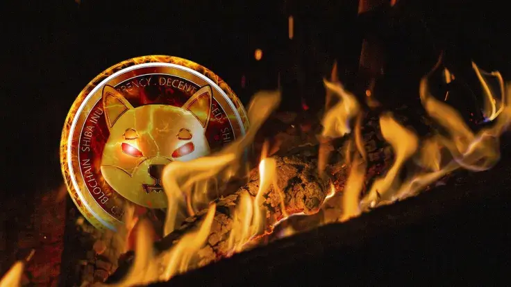 Shiba Inu (SHIB) Burn Rate Soars 2,000%, Here's What May Happen Next