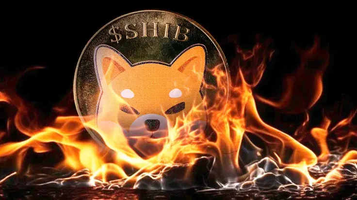 Shibarium Surpasses 1 Million Wallets as Millions of SHIB Go Up in Flames
