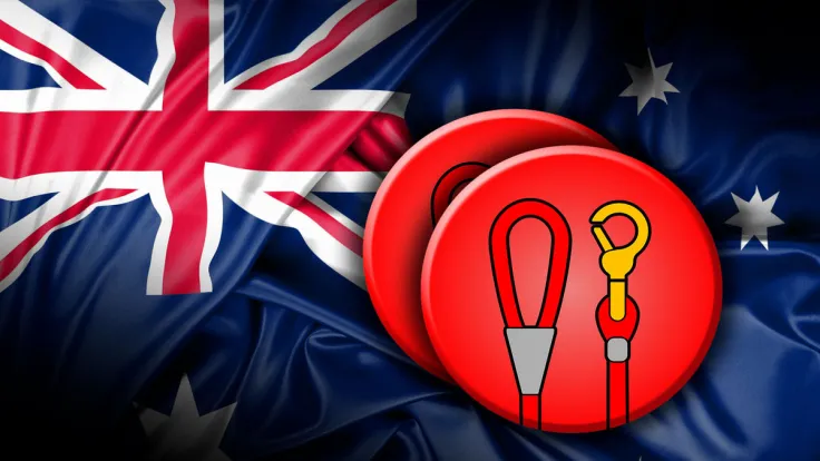 SHIB Token LEASH Price Rises as It Gets Added by Australia-Based Exchange