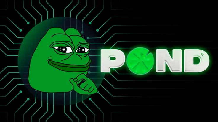 PEPE Exodus: 3 Wallets Buy $965K in PNDC