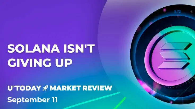 Solana (SOL) 30% Price Plummet Might End Around Here