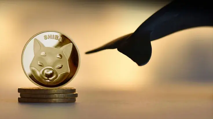 Shiba Inu (SHIB) Whales Went to Sleep: Here's Why It Might Be Positive Thing