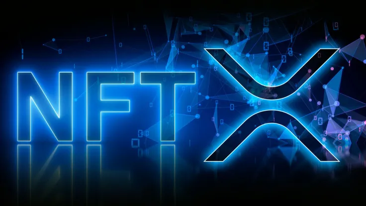 XRP Leads With Highest Gains in Daily NFT Volumes: Details