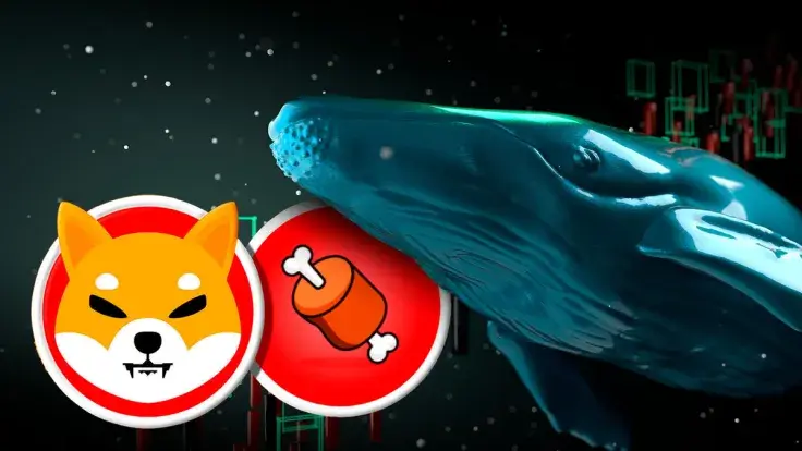 Shiba Inu's BONE Attracts Dormant Whale, Leading to Quarter Million Investment