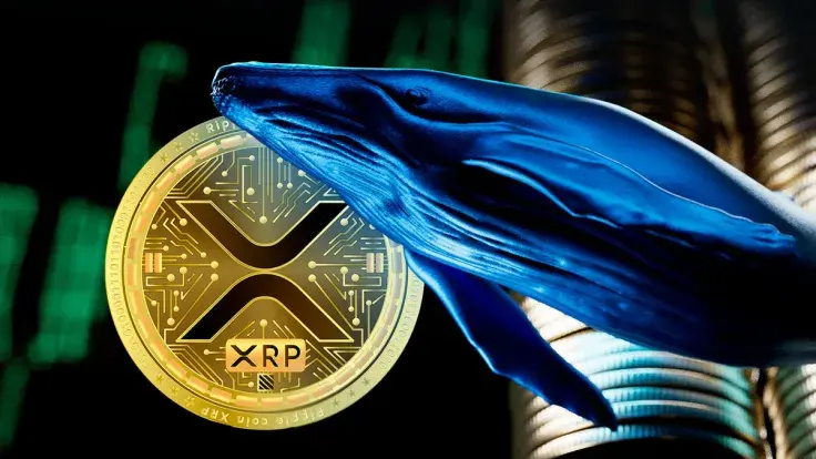 Millions of XRP Shifted in Big Whale Transaction, Here's Endpoint