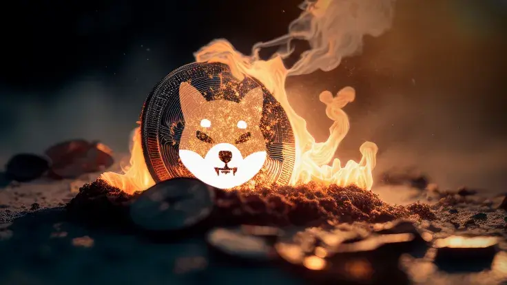 Shiba Inu Burn Rate Skyrockets by 500% as More Than Half Billion SHIB Burned