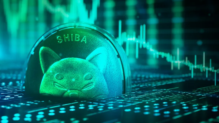 Big Shiba Inu (SHIB) Transactions Skyrocket by 335% With 2 Million Shibarium Wallets in Sight