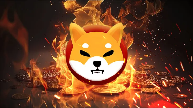 Shiba Inu Insider Offers Insightful Update on SHIB Burn by Shibarium