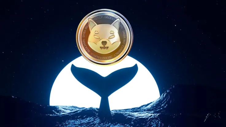 Shiba Inu Whales' Action Sees 124% Spike as SHIB Price Jumps
