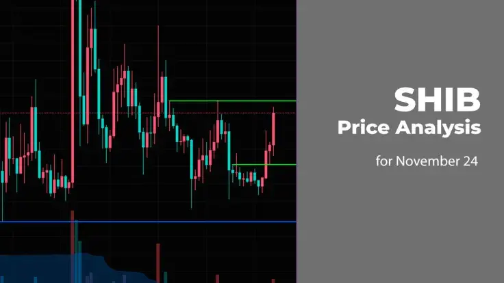 SHIB Price Analysis for November 24