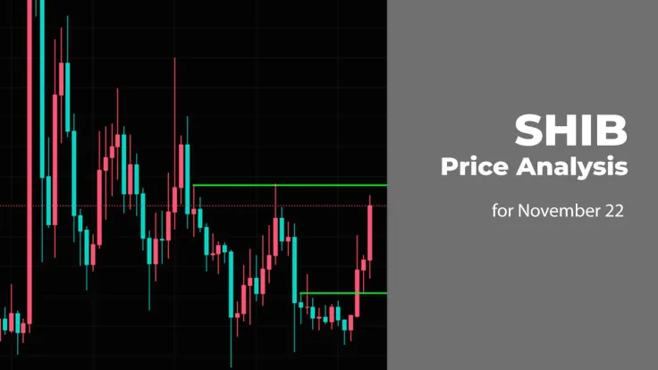 SHIB Price Analysis for November 22