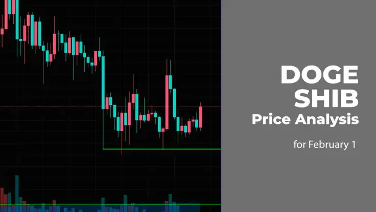 DOGE and SHIB Price Analysis for February 1