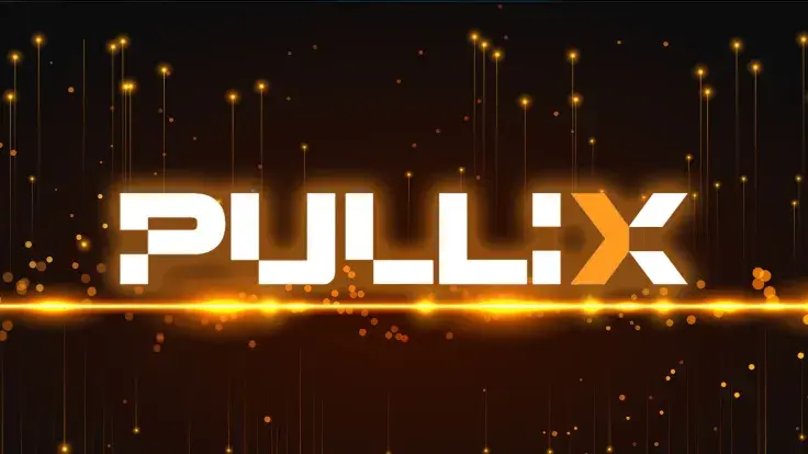 Pullix (PLX) Asset Sale Major Phase Attractive in Early Q1, 2024 while Solana (SOL), Avalanche (AVAX) See Meme Coin Manias