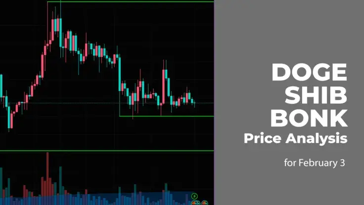 DOGE, SHIB and BONK Price Analysis for February 3