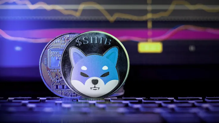 Shiba Inu (SHIB) Enters New Era, Community Excited