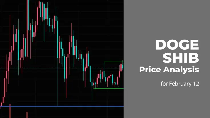 DOGE and SHIB Price Prediction for February 12