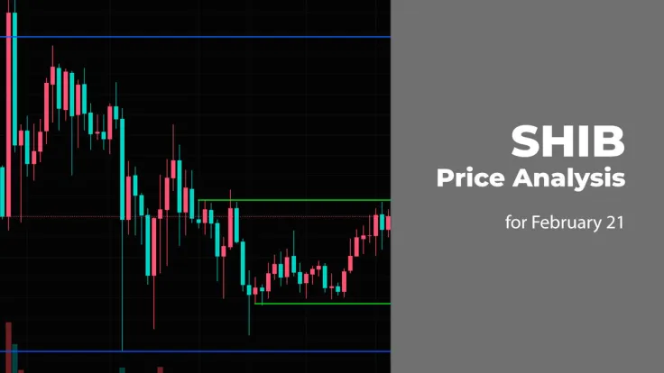 SHIB Price Prediction for February 21