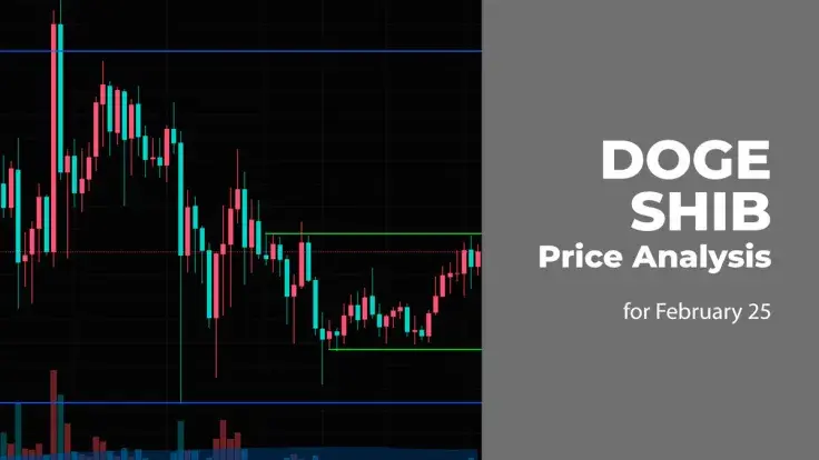 DOGE and SHIB Price Prediction for February 25