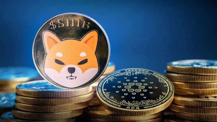 Shiba Inu (SHIB) Takes Over Cardano in Volume Amid Meme Coin Mania