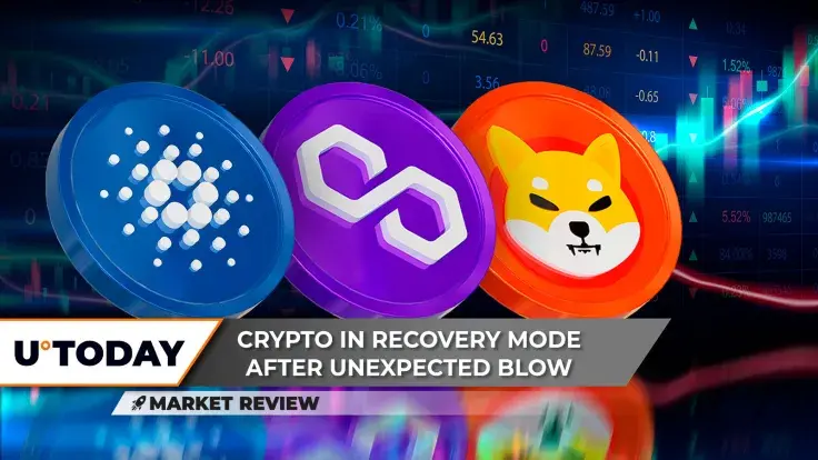 Cardano (ADA) Loses $0.5 Threshold, Pivotal Shiba Inu (SHIB) Price Level, Major Polygon (MATIC) Support Reached