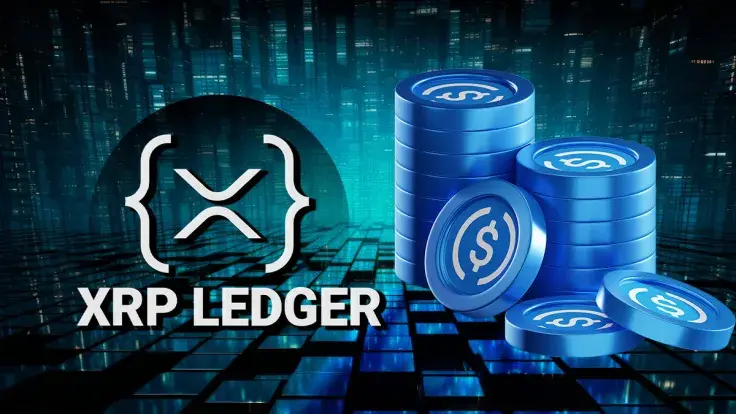 USDC to XRPL? XRP Expert Says Ripple Should Step In