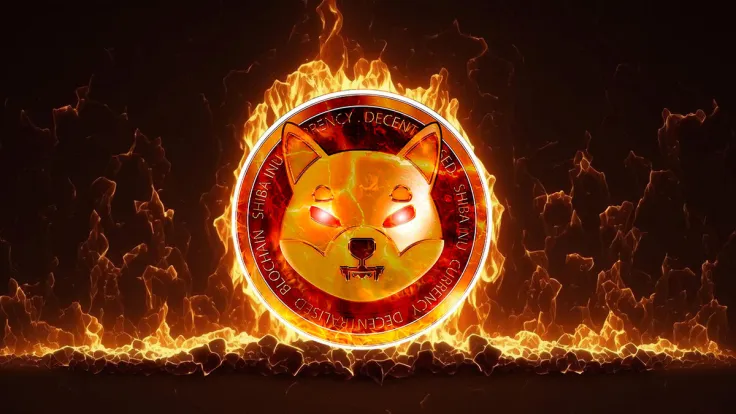 SHIB Burn Rate Skyrockets 1,344% Amid Significant Price Shift