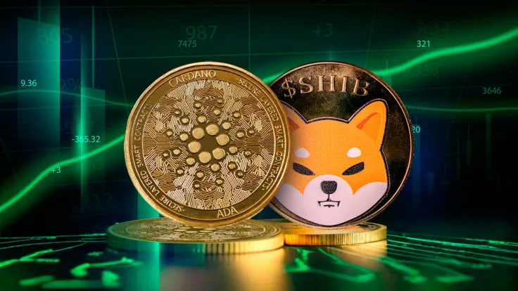 Shiba Inu (SHIB) and Cardano Explode With Whale Activity