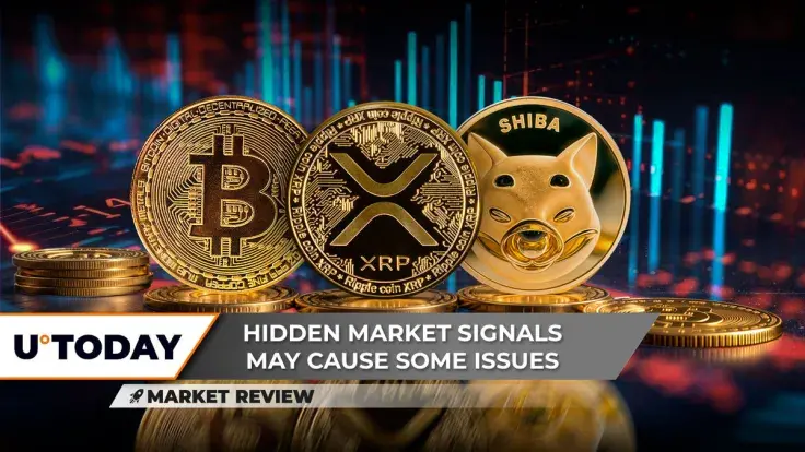 Bitcoin (BTC) Hidden Disaster Incoming? XRP Reaches Turning Point: What's Next? Shiba Inu (SHIB) on Path to Victory?