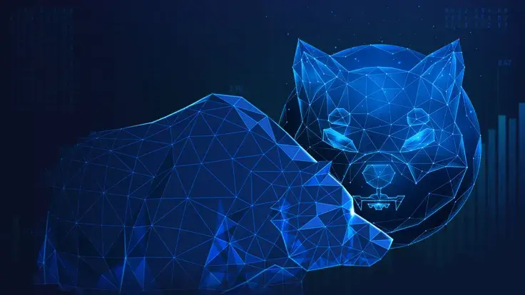 Shiba Inu Exec Teases Guide on How to Deal With Bearish Days