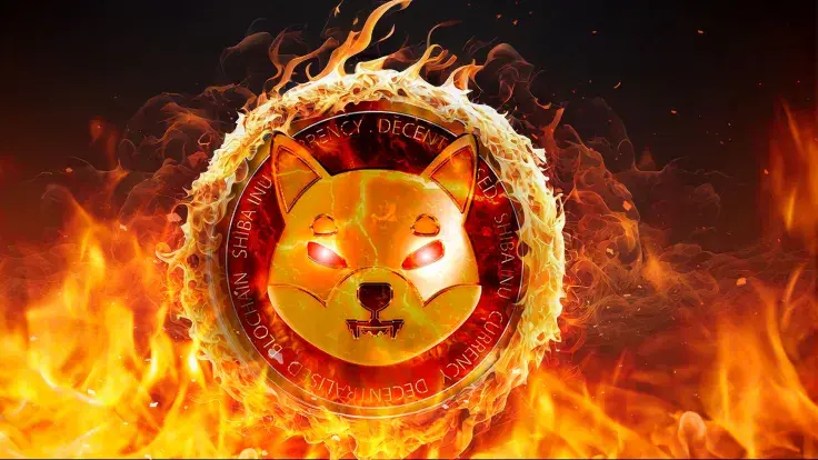 Shiba Inu (SHIB) Skyrockets 863% in Major Indicator: Details