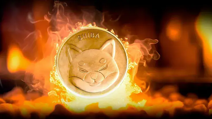 Millions of SHIB Go Up in Smoke as Shiba Inu Burn Rate Skyrockets by 207%