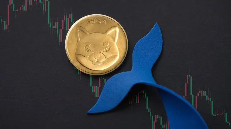 Shiba Inu (SHIB) Loses 84% in Key Metric as Whales Disappear
