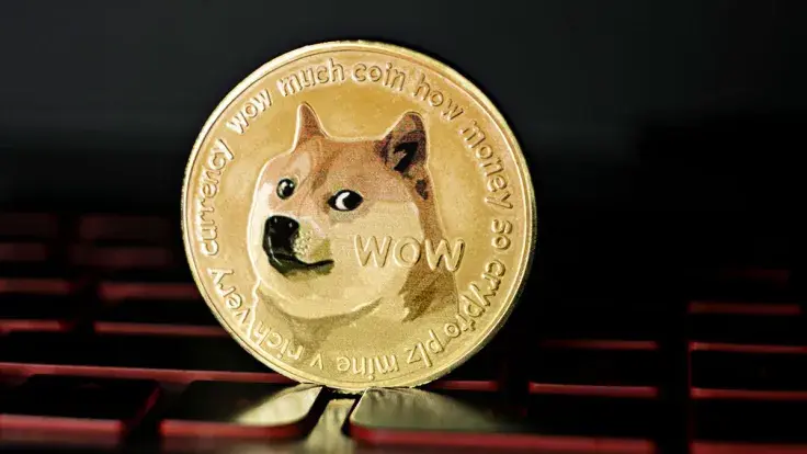 Dogecoin Whales Are Disappearing? What's Happening With DOGE
