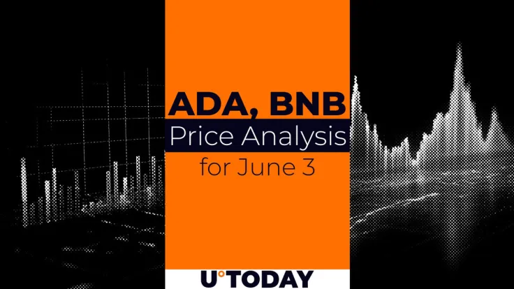 ADA and BNB Price Prediction for June 3