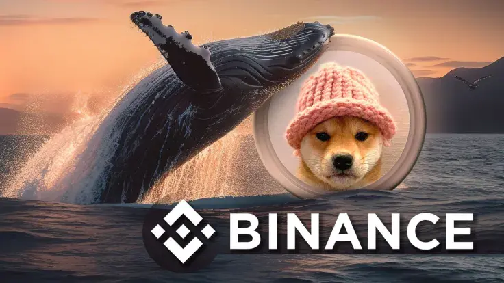 Binance Receives 12.66 Million WIF in Whale Moves as Dogwifhat Drops 30%