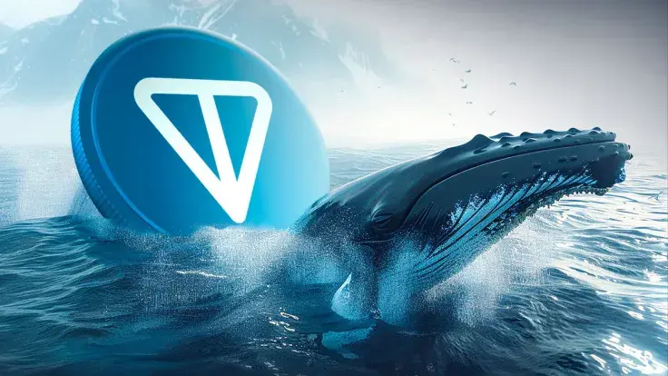 Toncoin Skyrockets 306% in Whale Activity as TON Trails XRP