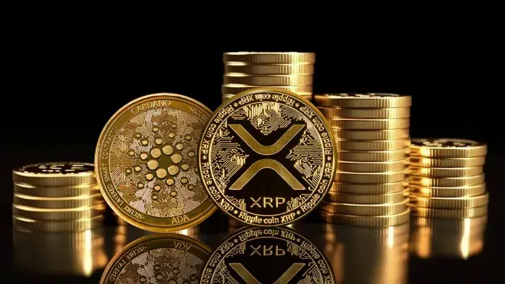 Former Goldman Sachs Analyst Slams XRP and ADA as 'Cult Meme Coins'