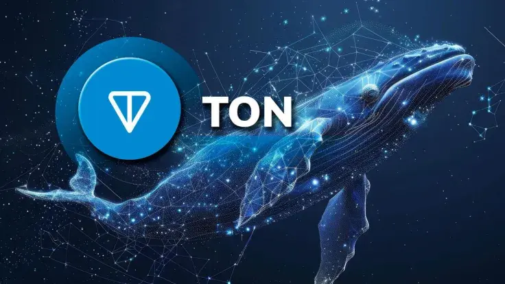 TON Surges 983% in Key Whale Metric as Market Faces Uncertainty